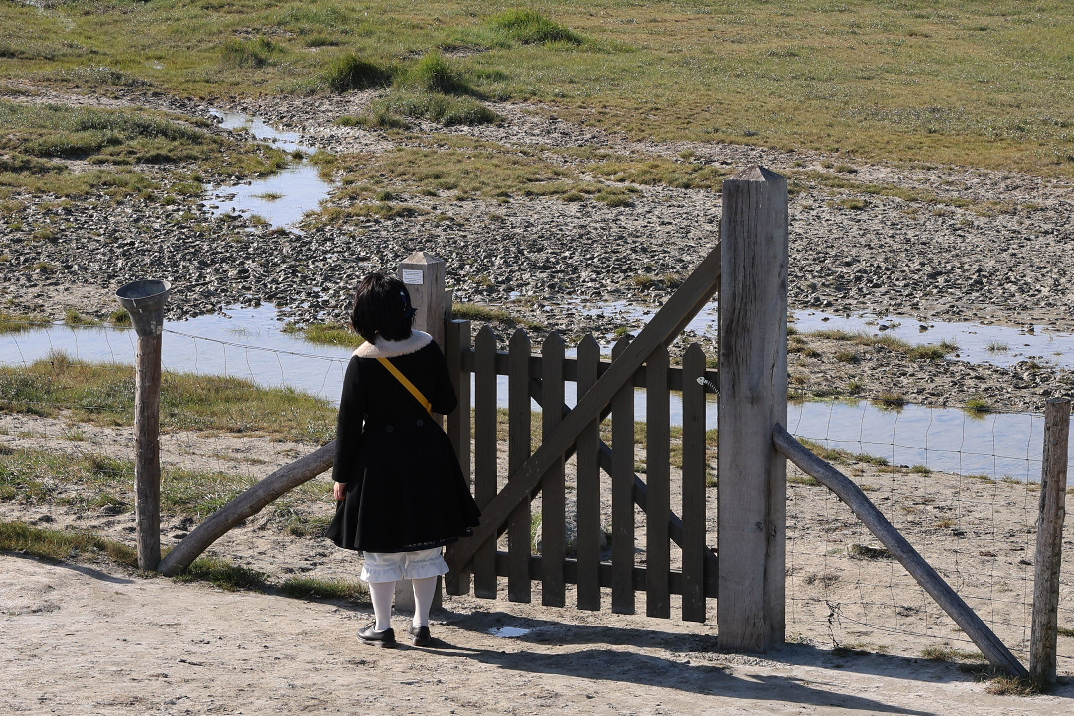 在发现栅栏门推不开时请尝试推另一边而不要去拆铰链